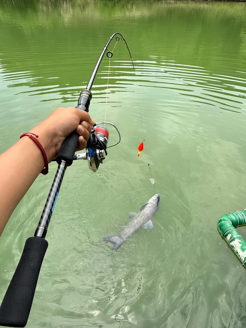 升级款路滑路亚杆(全套配齐)