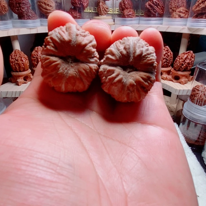 文玩核桃把件马蹄