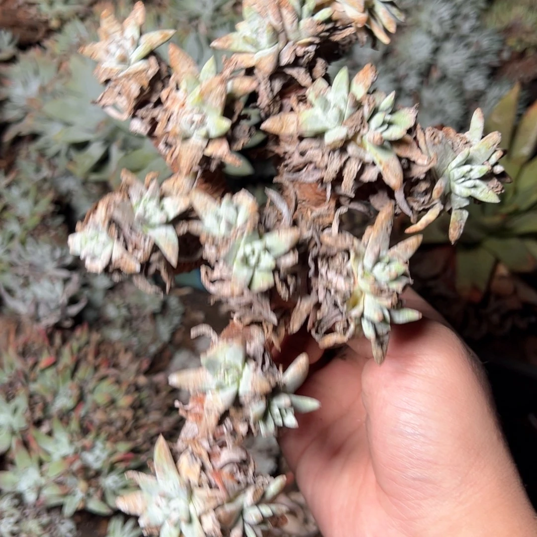 5433哈哈哈哈哈哈哈