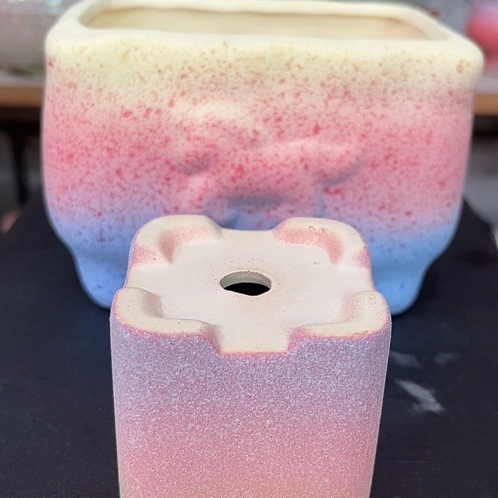 陶小姐姐专属花盆盆