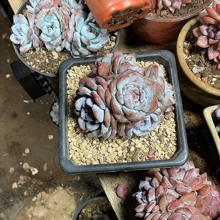 哈哈哈哈哈哈哈哈哈