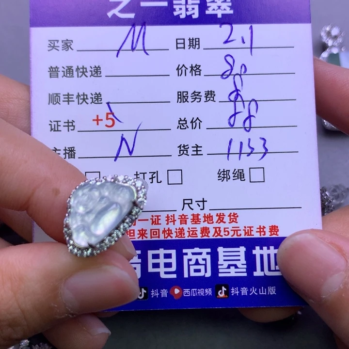 翡翠颈饰银S925镶嵌M****n