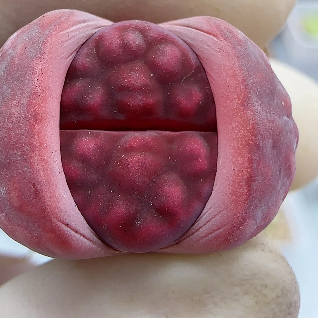 706阿克玫瑰福利