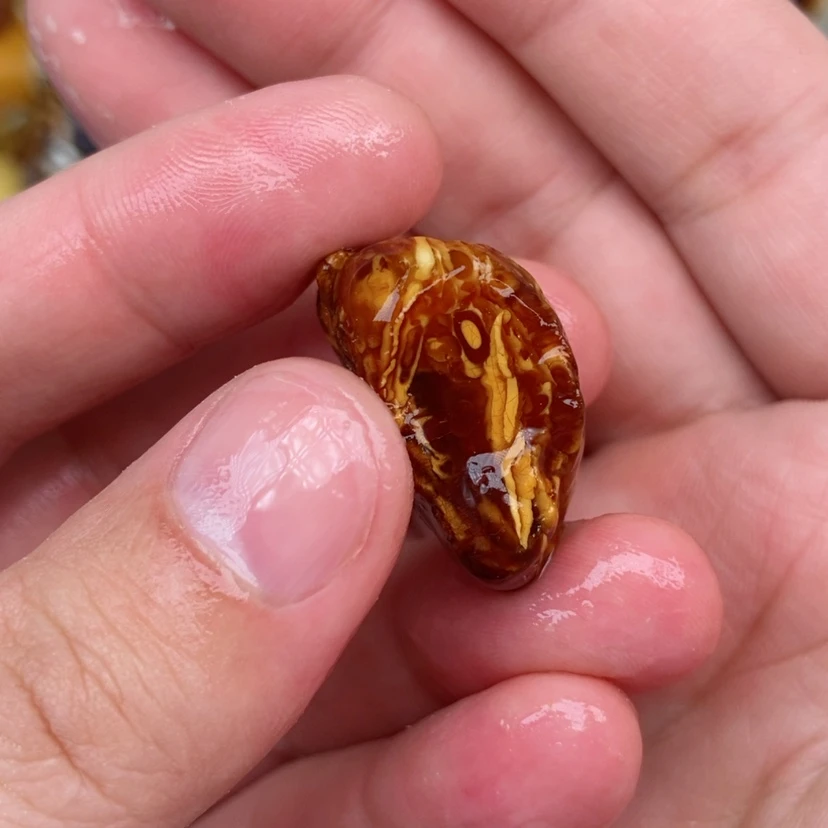 【闪购商品】定制琥珀未镶嵌蜜蜡