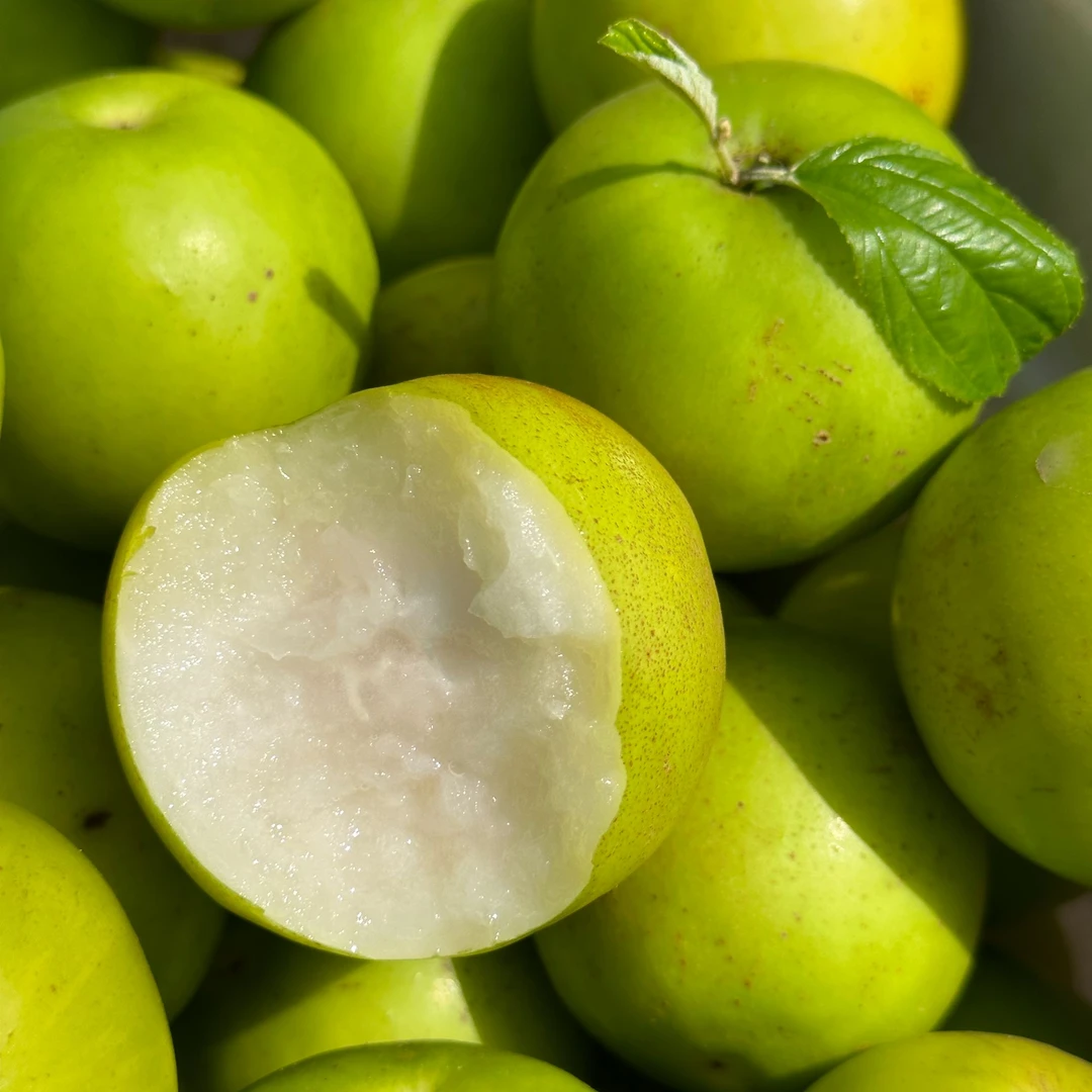 云南西双版纳苹果枣脆嫩多汁新鲜热带水果枣子冬枣