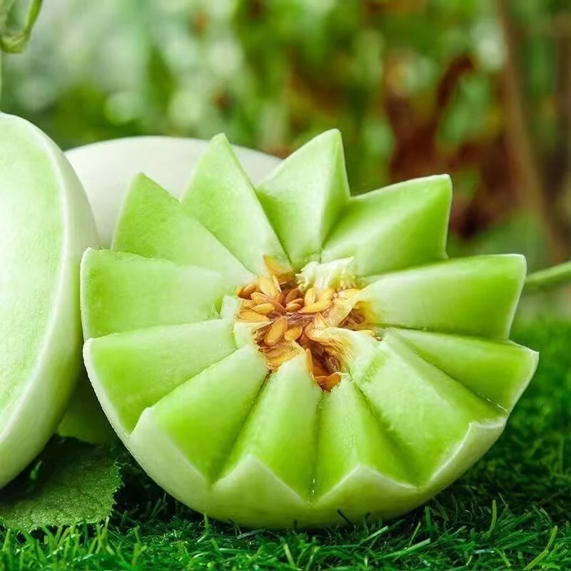 玉菇甜瓜/哈密瓜2颗果4斤左右【阿班果业】