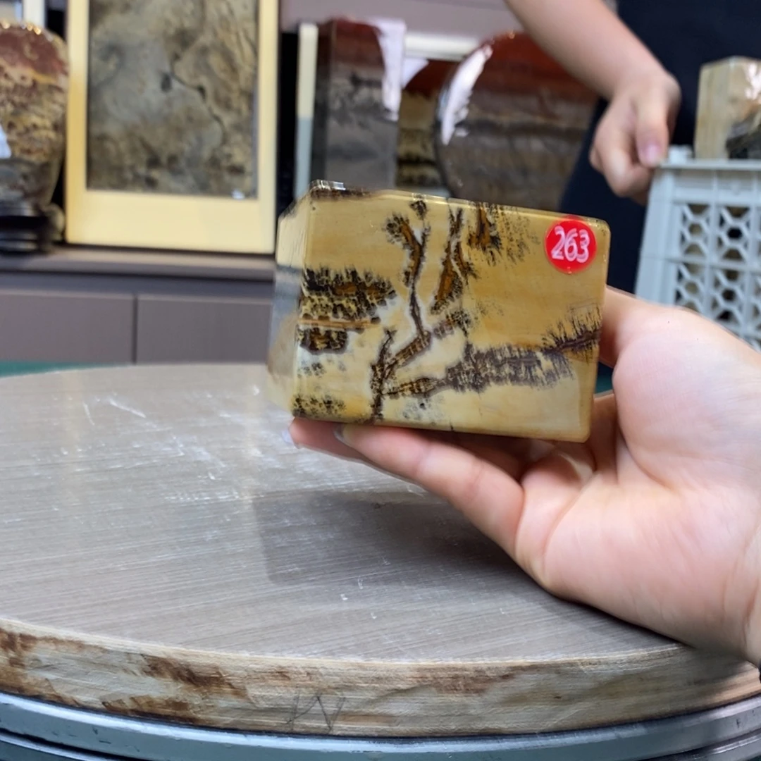 朴***月石材广西国画石草花石