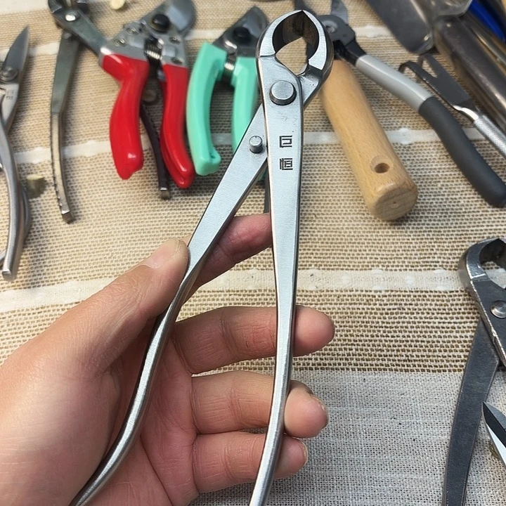 巨恒不锈钢中号球剪一把