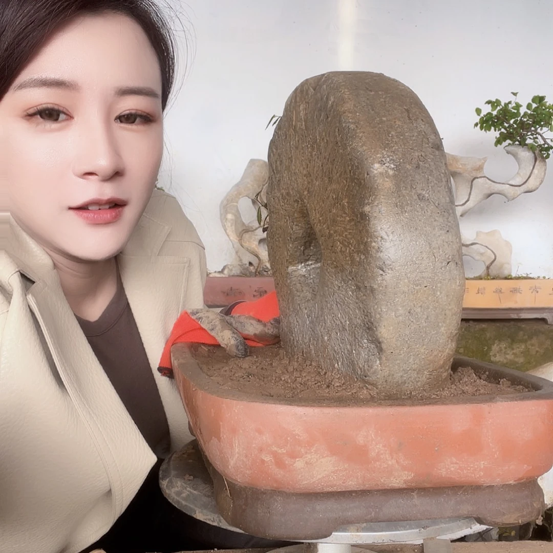 小***丁无花朵KTV图五图图图兔兔t