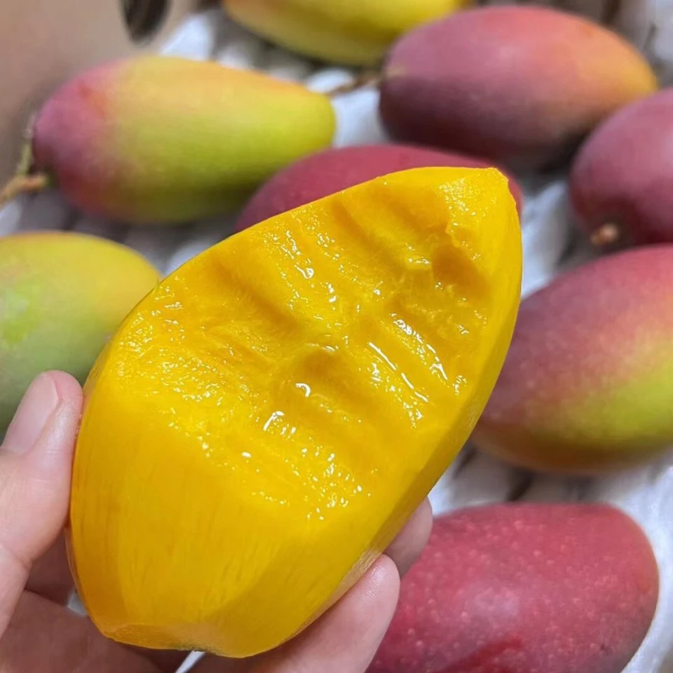 海南 贵妃芒 3斤±2【顺丰快递次日达】