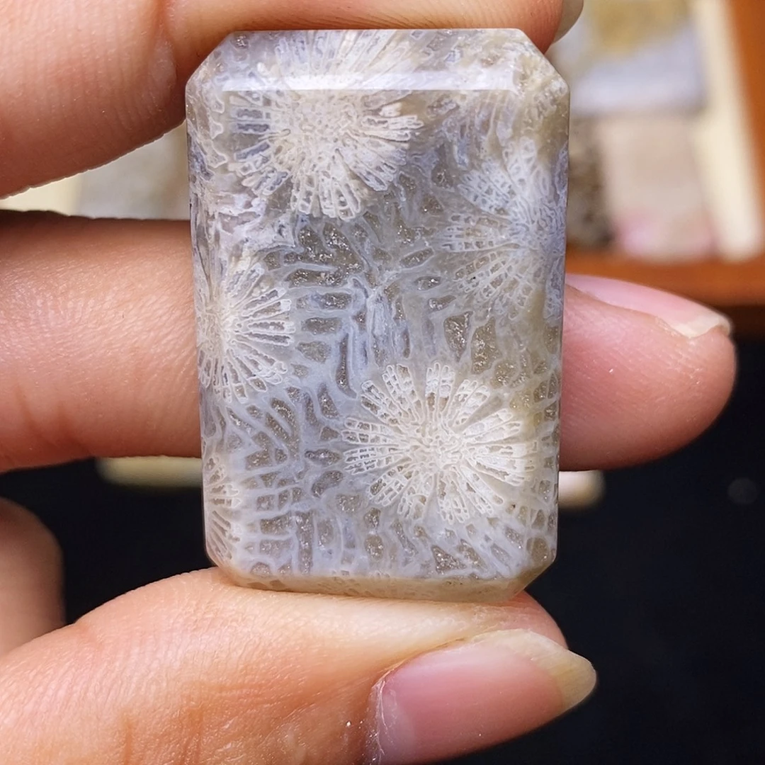 爱****硅化玉合金珊瑚玉