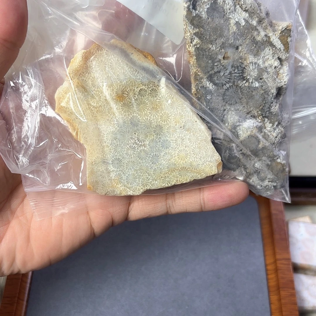 G***.硅化玉未镶嵌颈饰