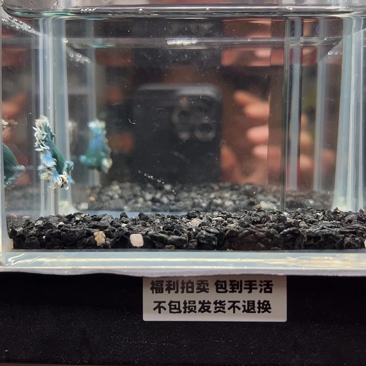 斗鱼一单包邮14日78