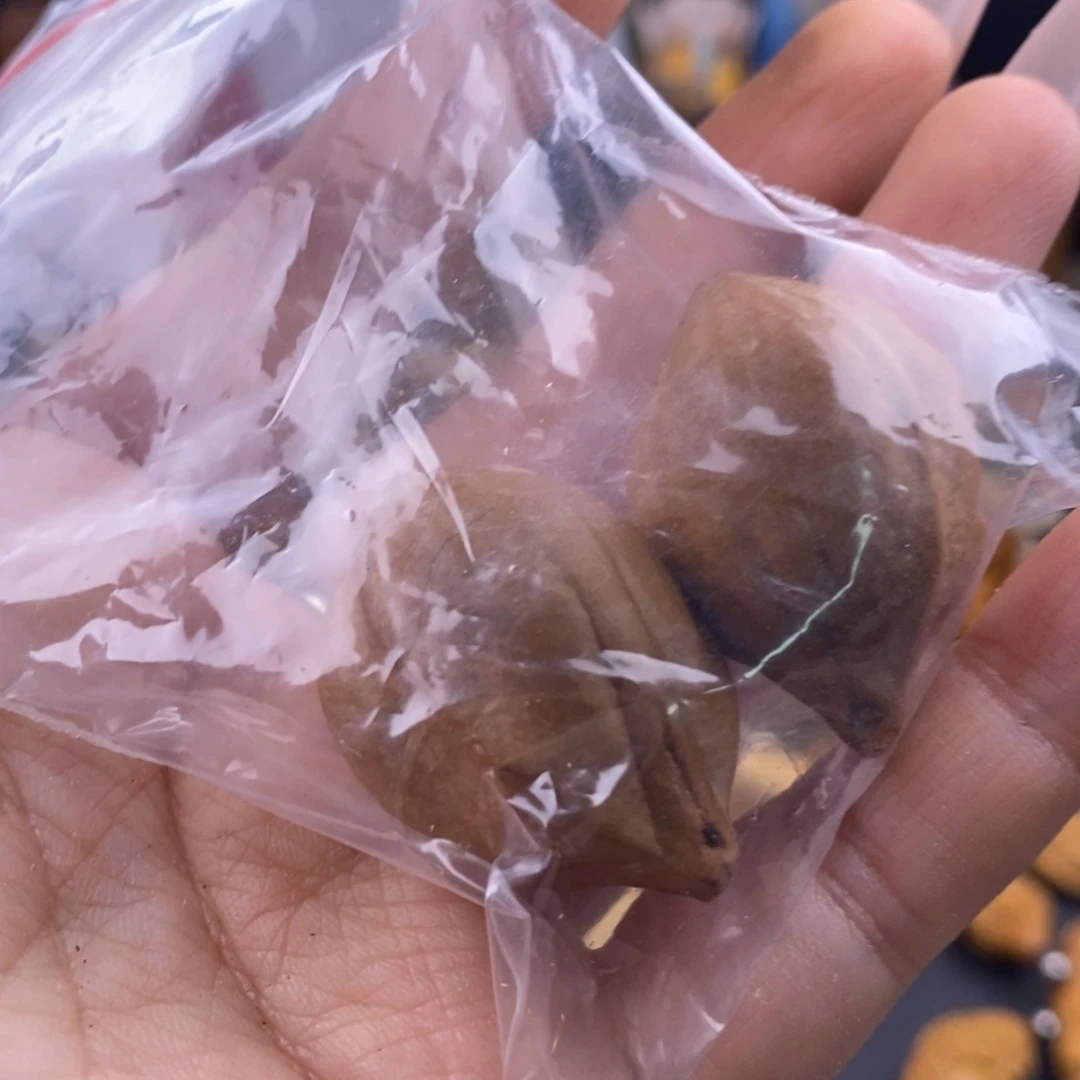 橄榄核吊坠㊙️****橄榄核福利单子两单起邮