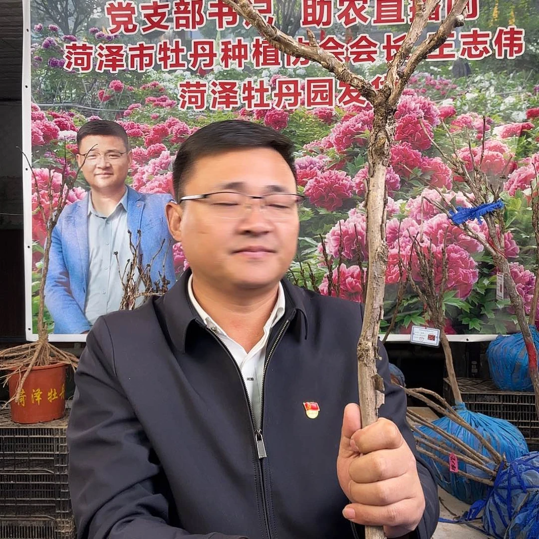言***午完全开放赵粉，222元