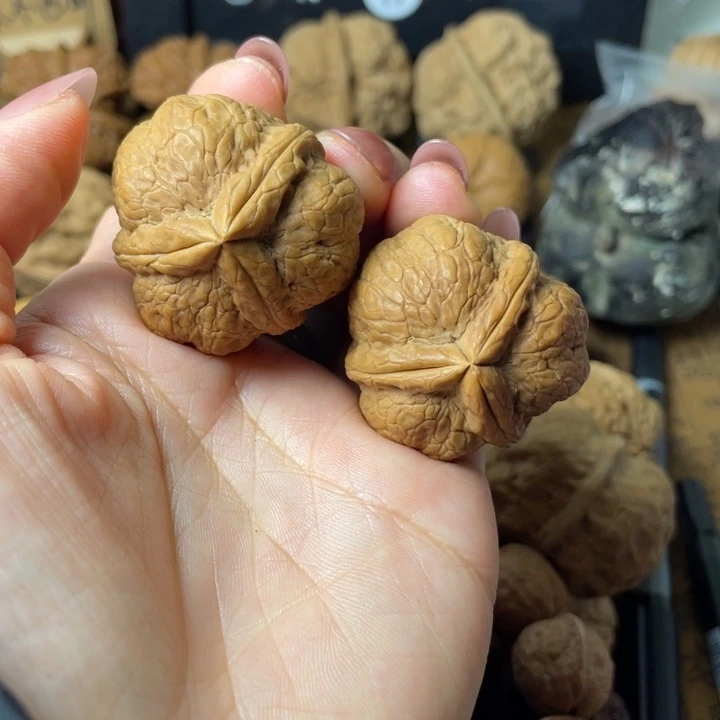风***限一物一拍如图所示93