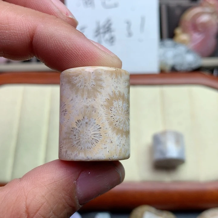 硅化珊瑚（珊瑚玉）颈饰未镶嵌