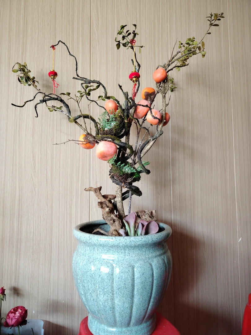 福柿归巢（鸟巢，柿子，黄杨组合盆栽）寓意着家庭幸福美满