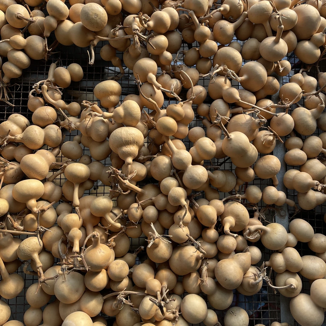 通货非周正奶嘴葫芦通货一箱 5 个，可烙画刻字响籽，直播您来挑选。