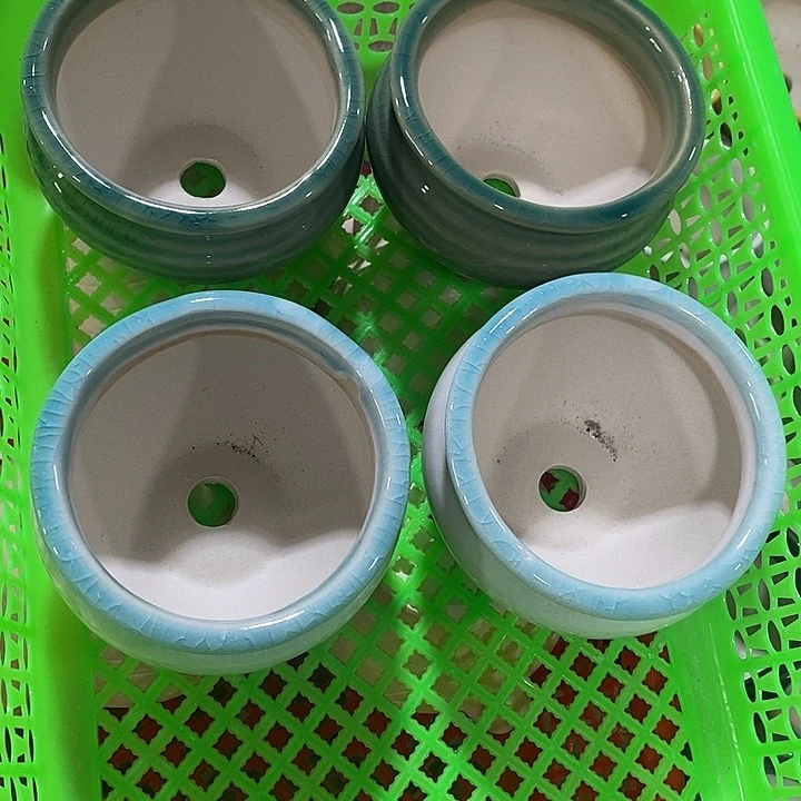 花盆抢购清货马上开始