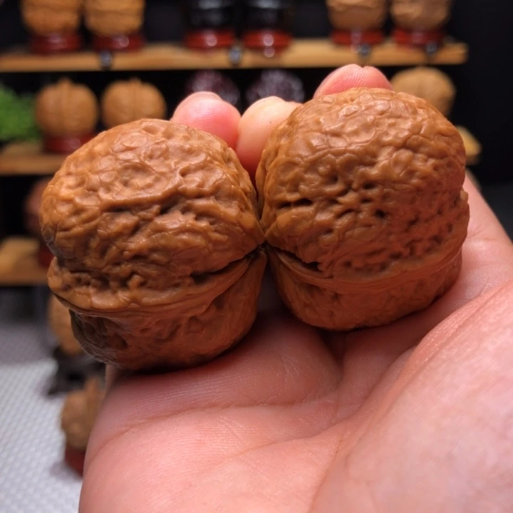 【闪购商品】保山化石18