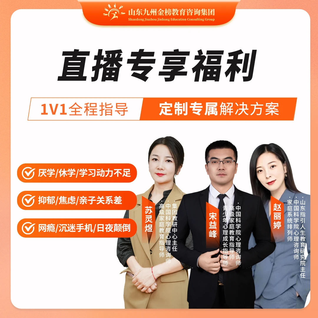 【1V1全程指导】解决孩子手机、厌学休学、亲子关系等问题（不是书）