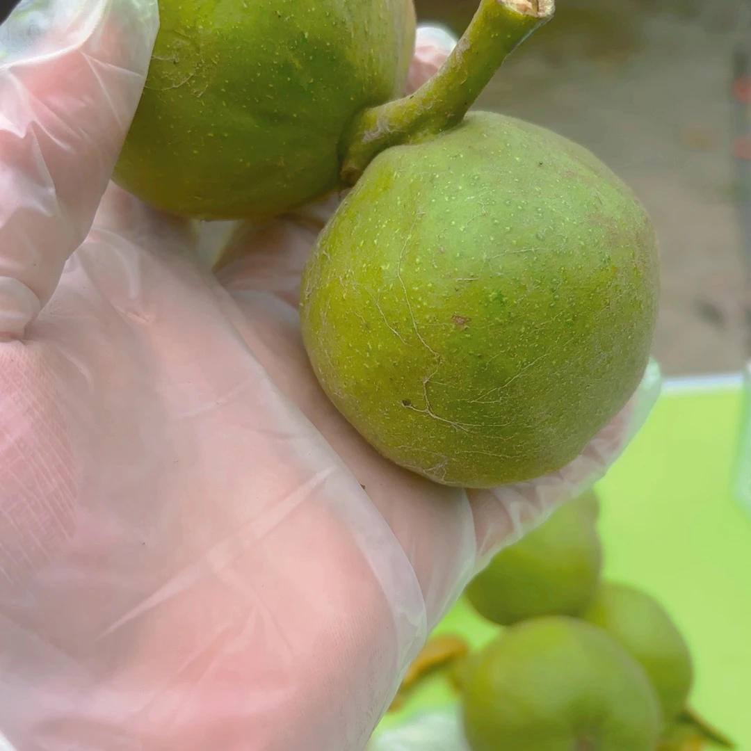 刘***生桃木蛤蟆头青皮大连枝2个