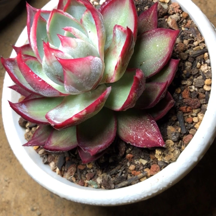 78//////////////////