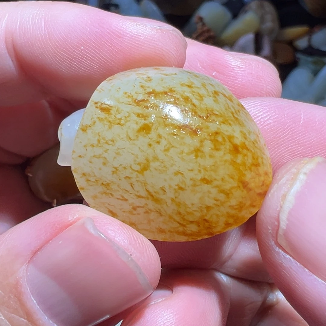 和田玉吊坠(赠链)未镶嵌