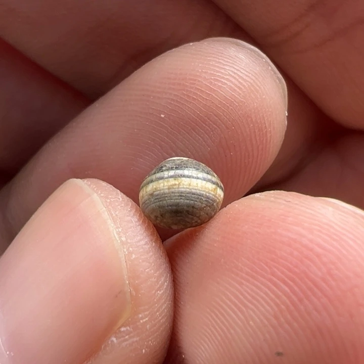 玛瑙/玉髓未镶嵌珠宝半成品029