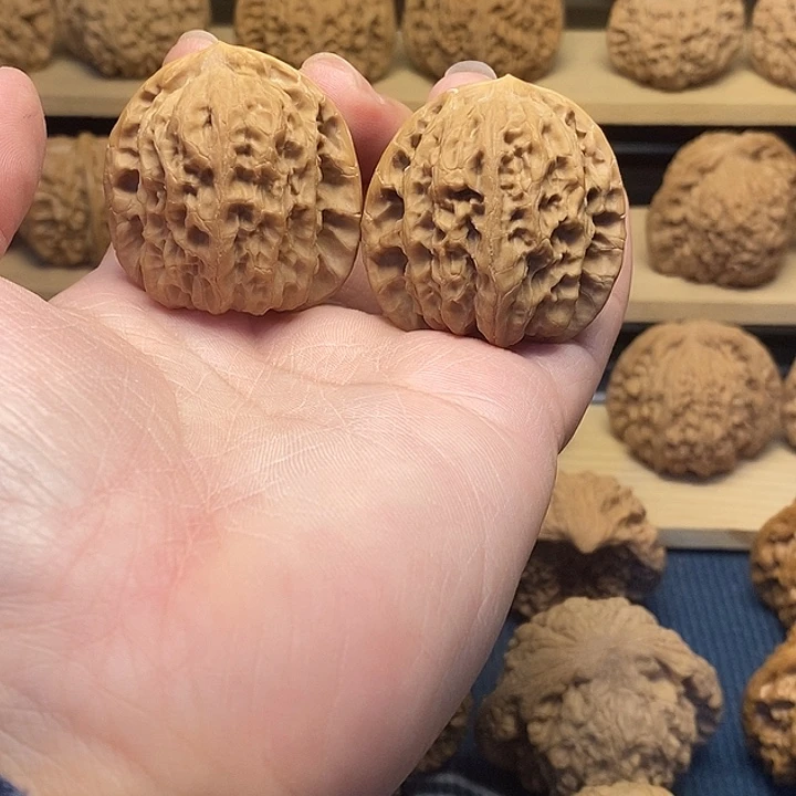 核桃39蓟县佛肚浮力