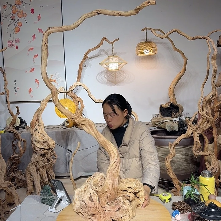 星***辰杜鹃根艺术中心根