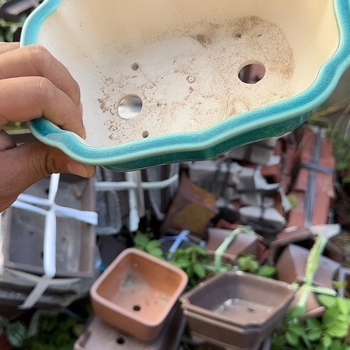 一哈来不急不快嘛