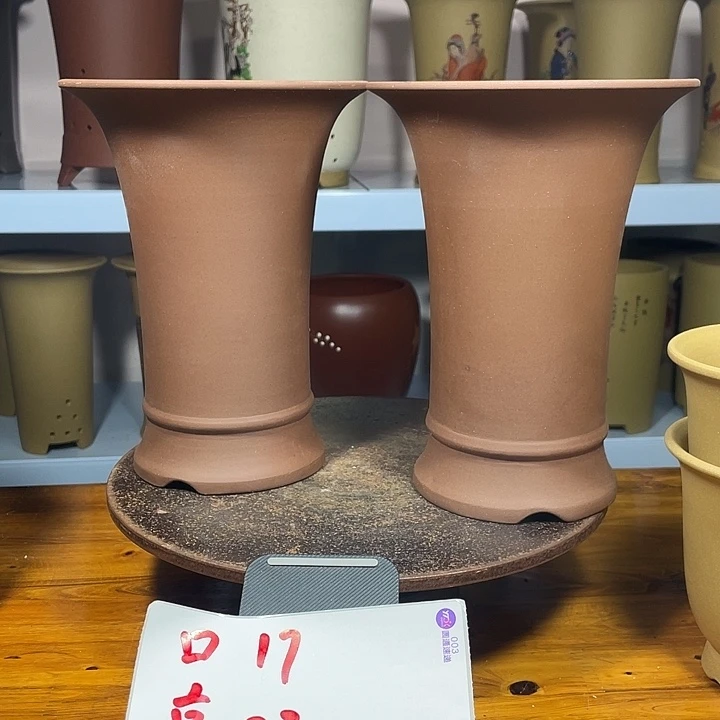 紫砂花盆我也不知道我在想什么了29.9