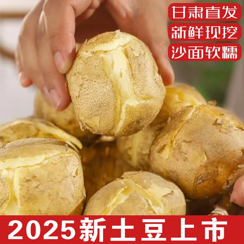 d甘肃定西农家种老品种旱沙地面纱粉糯黄皮黄心土豆洋芋马铃薯蔬