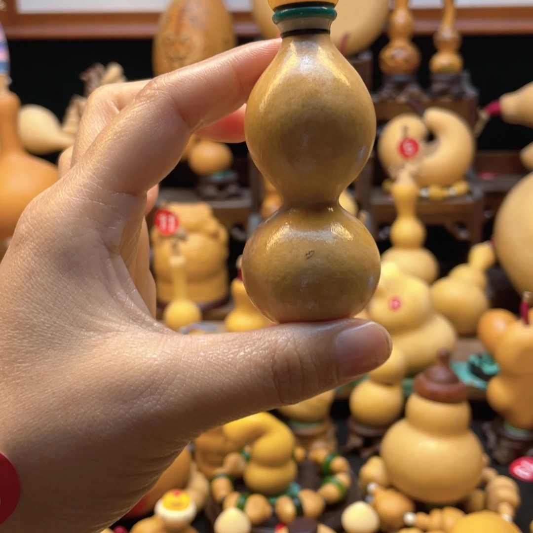 鲨**鱼大自然的秘密第十一节的