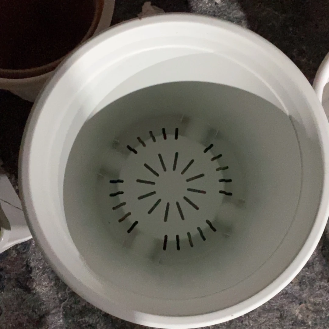 树脂2个7加奶白带托