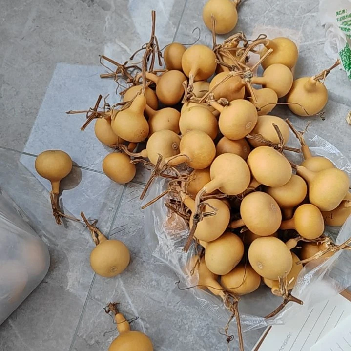绅***8独把葫芦独把葫芦