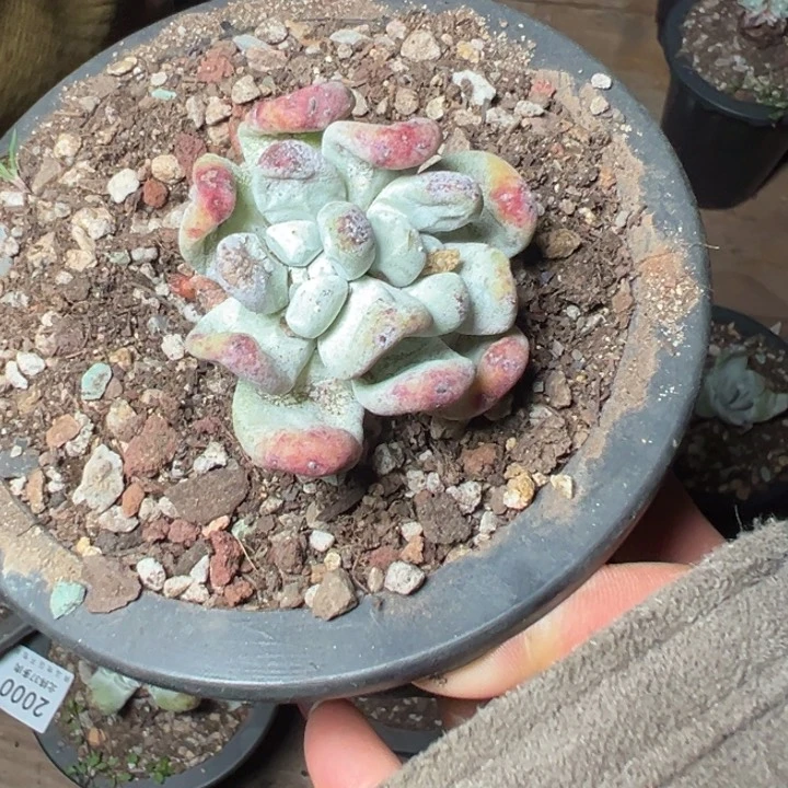 2002哈哈哈哈哈哈哈哈