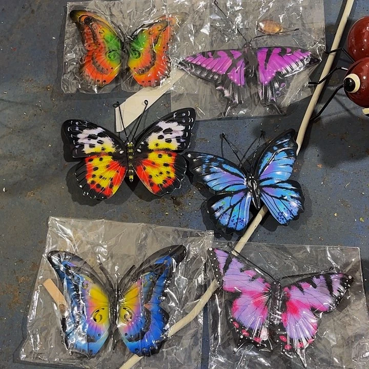 很过分回家看看你