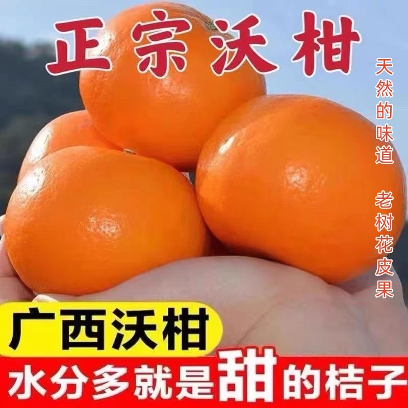 正宗广西高山沃柑脆甜多汁老树花皮果当季新鲜水果