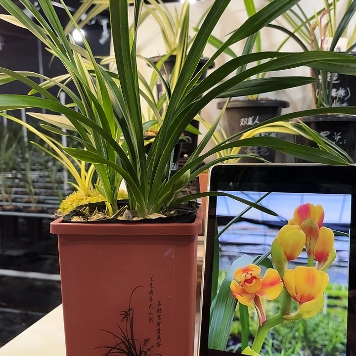 完全开放秋榜秋榜秋榜