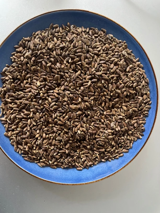 中缅山货铺2 水飞蓟菇