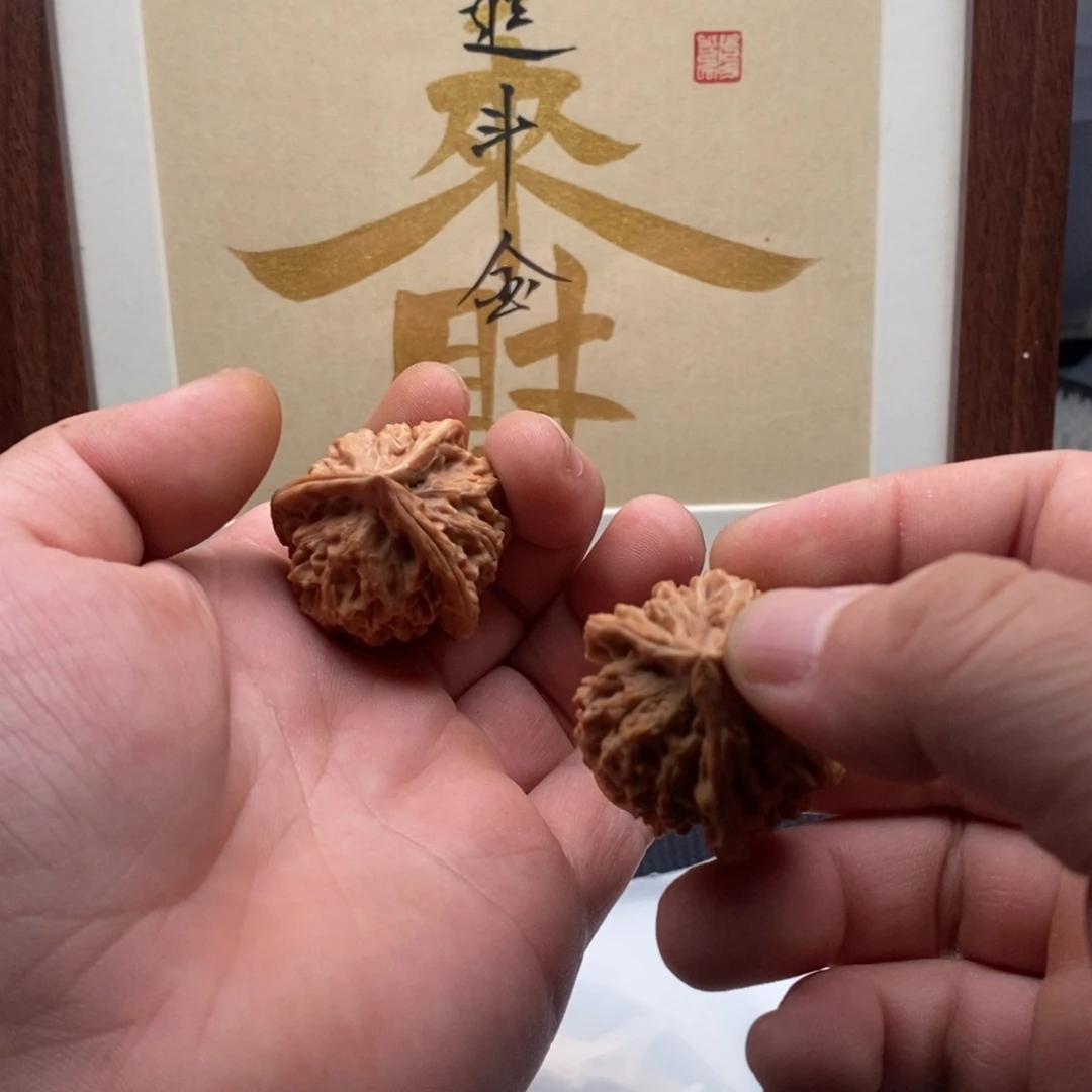 核桃哈哈哈哈哈哈哈哈