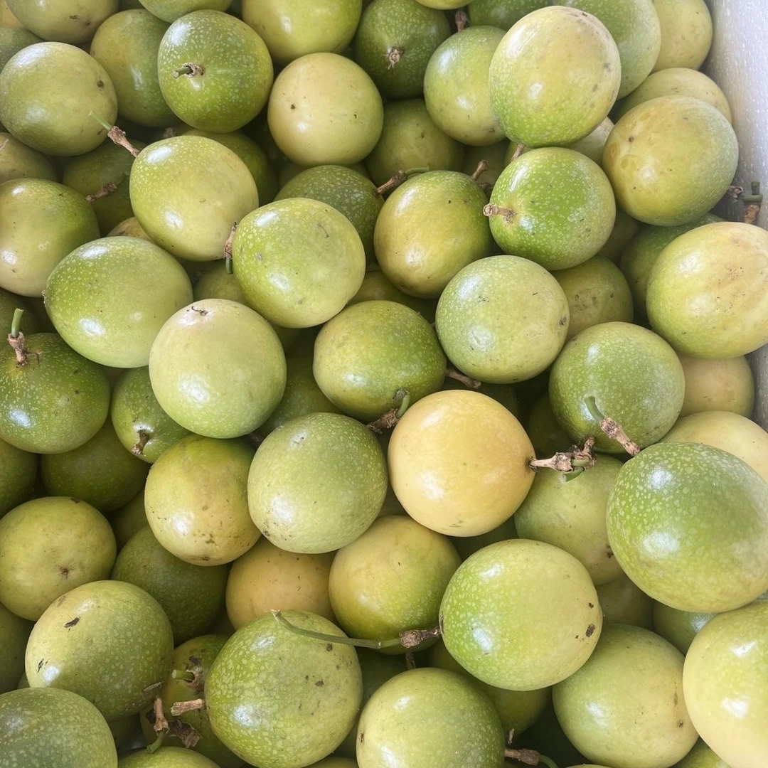 【到手5斤】贵州生态钦蜜9号百香果新鲜现摘当季水果鲜甜多汁农家