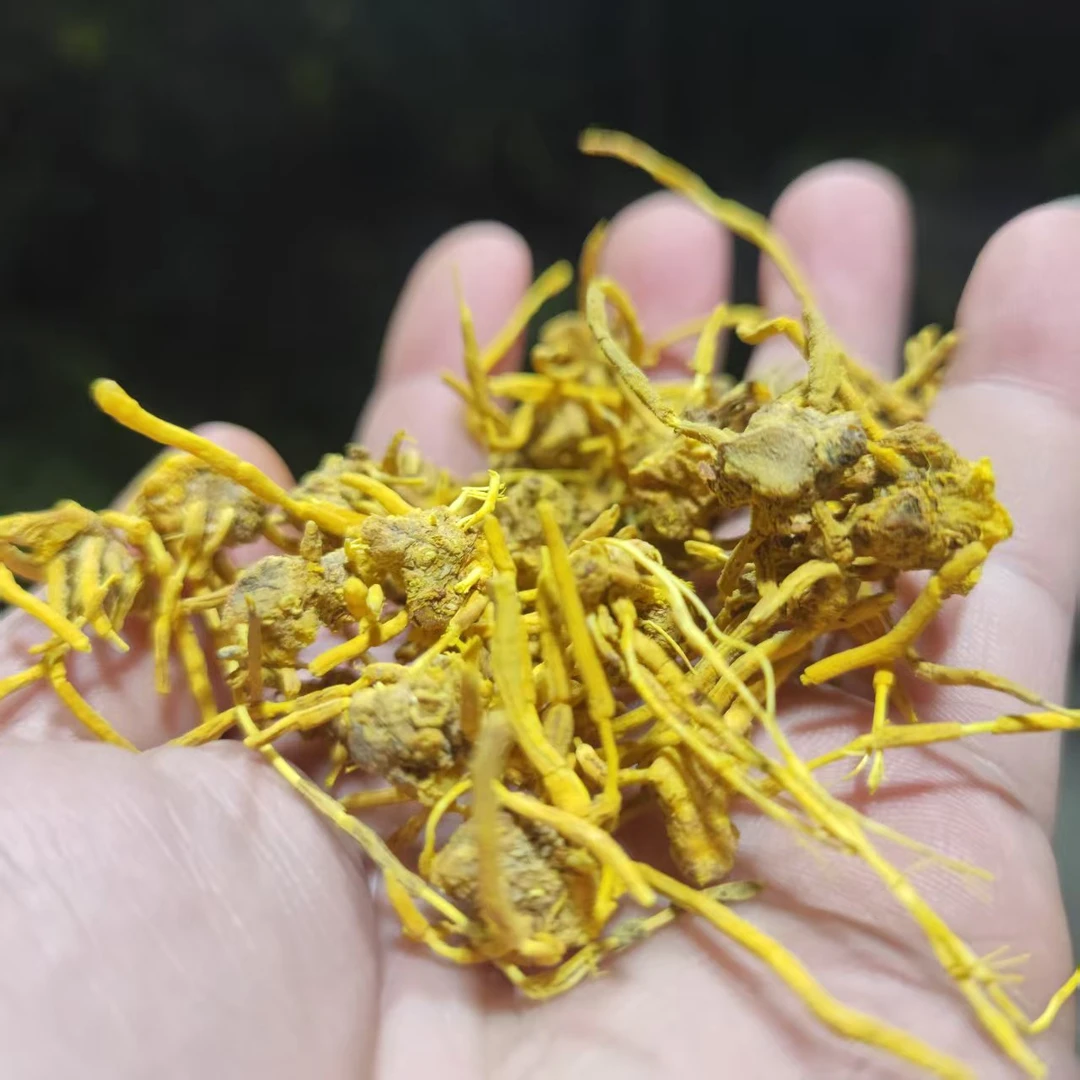 2【龙-须-石-斛】净含量250g-1000g【阿虎现收】粮