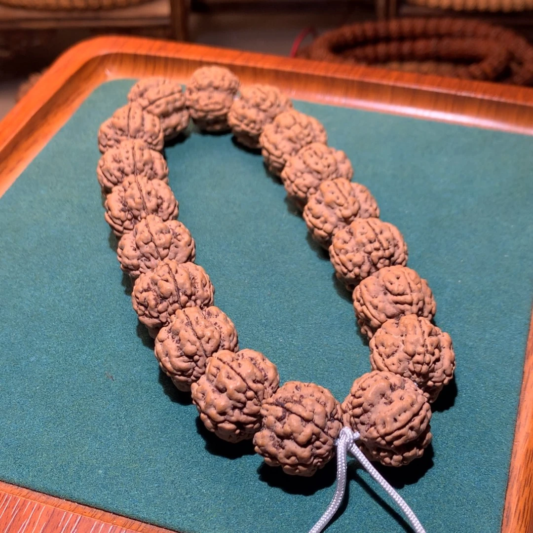 睢***）金刚菩提手串帝王花20mm