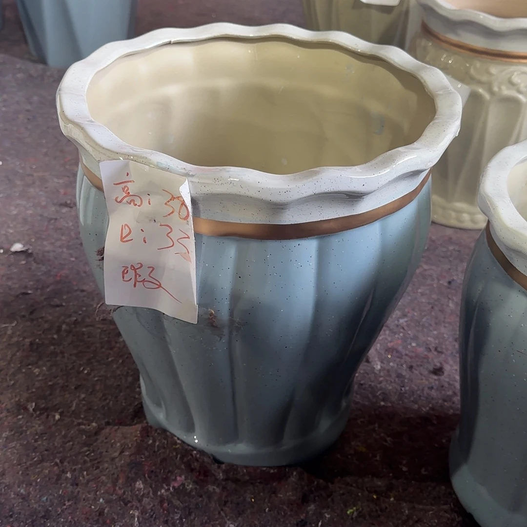 三拼南瓜中号一个福利