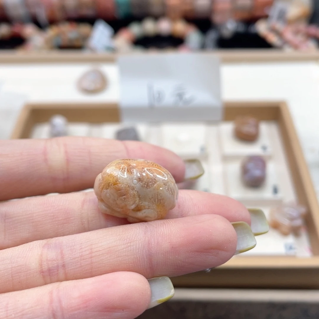 硅化珊瑚（珊瑚玉）手链未镶嵌荼*059