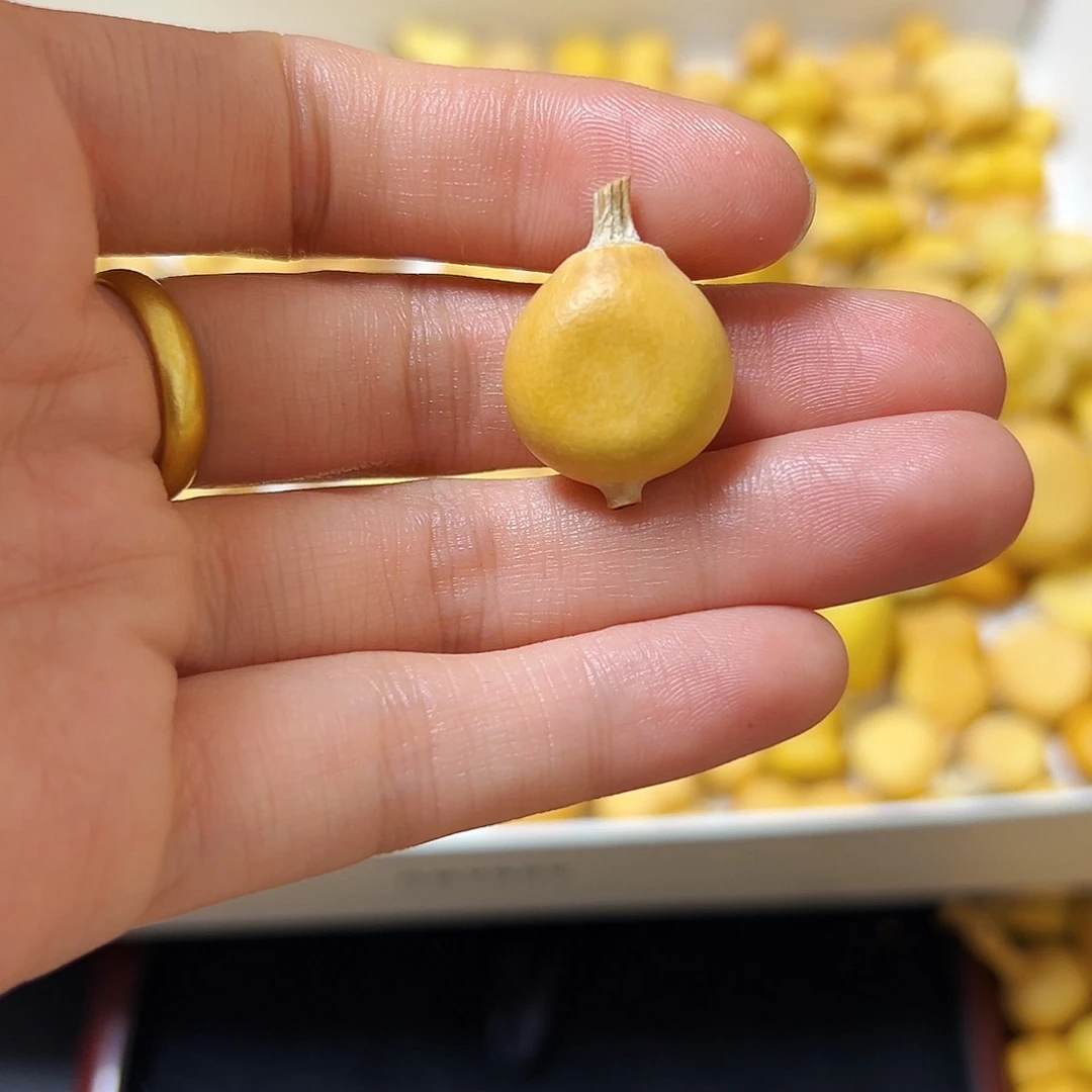 i***9葫芦打孔不退不换